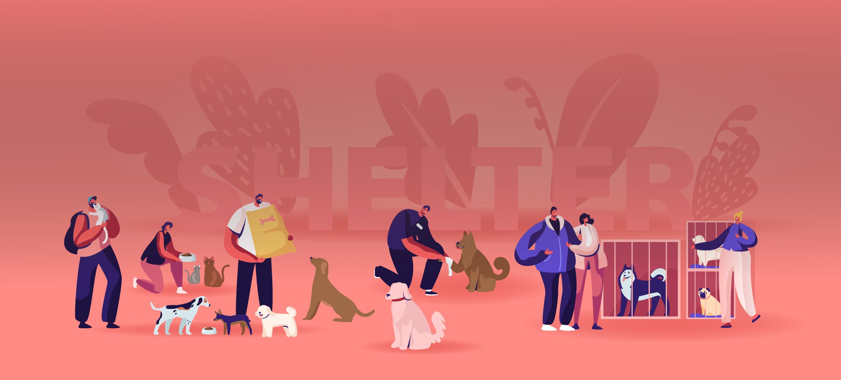 hackerearth machine learning